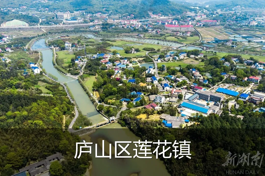 庐山区莲花镇